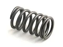 Valve Spring