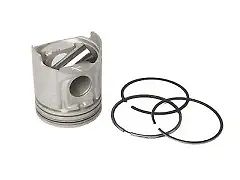 Pistons & Ring